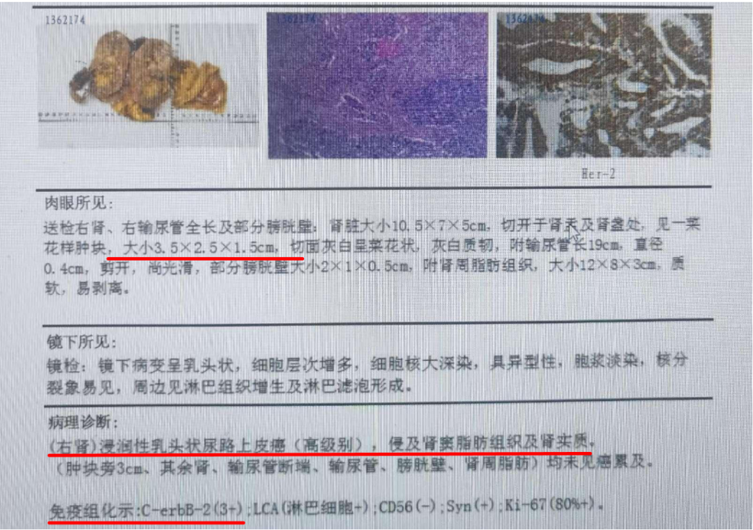 1758617147785076.png 微信图片_2025-09-23_164529_567.png