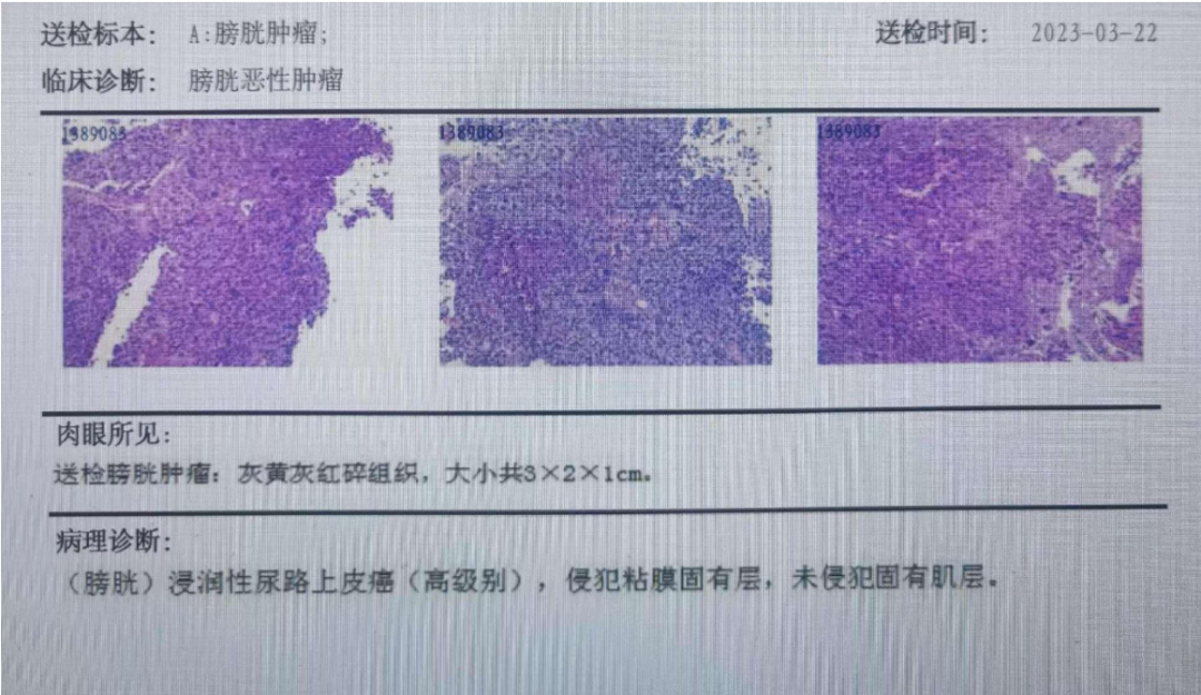 1758617192930324.png 微信图片_2025-09-23_164619_520.png