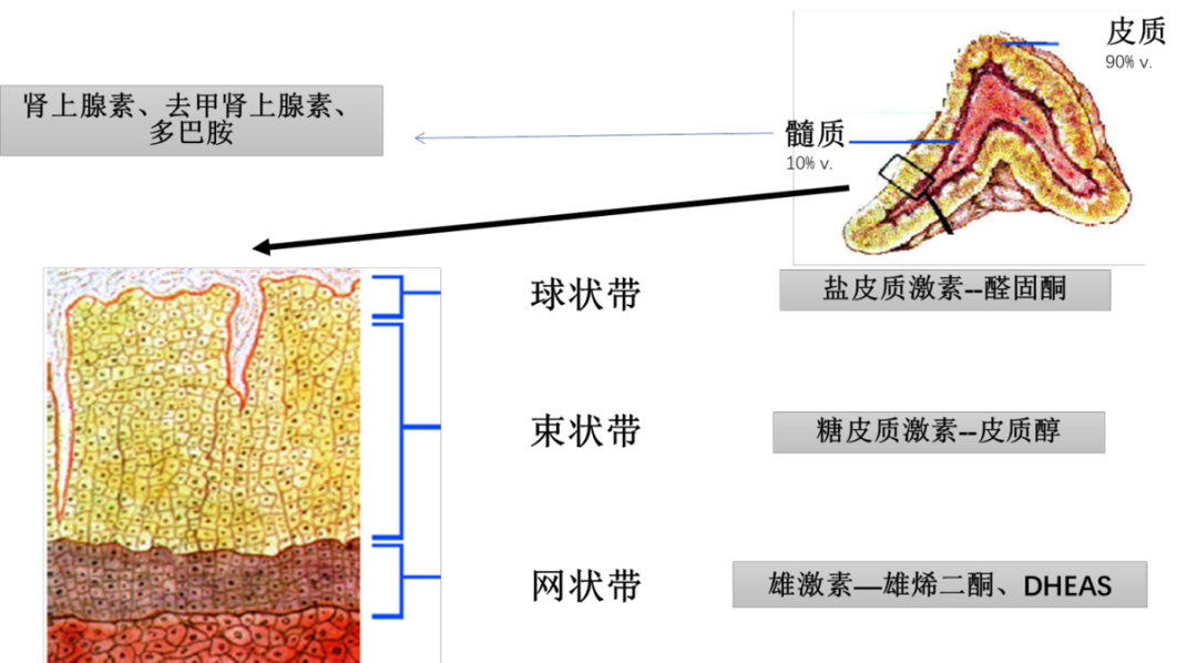 1758697250957708.png 微信图片_2025-09-24_150037_537.png