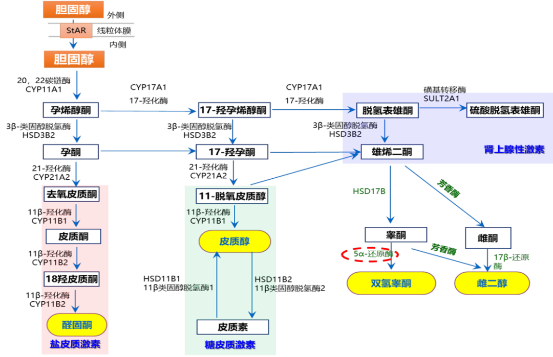 1758697268635238.png 微信图片_2025-09-24_150055_073.png