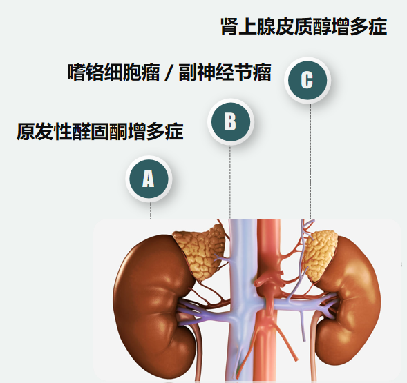 1758699508741057.png 微信图片_2025-09-24_153812_773.png