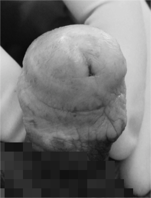 1760431238914044.png 微信图片_2025-10-14_164024_204.png