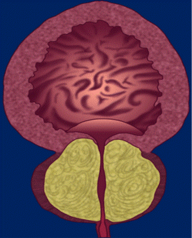 1760514119321029.png 微信图片_2025-10-15_154143_672.png