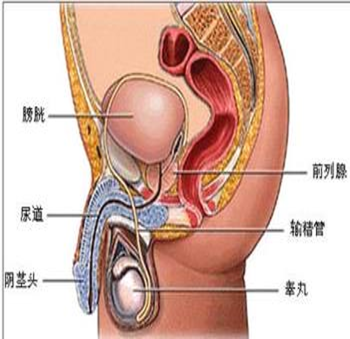 1760514205769567.png 微信图片_2025-10-15_154308_351.png