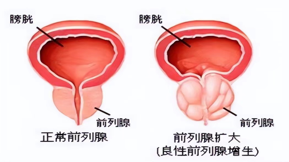 1760514222235805.png 微信图片_2025-10-15_154327_863.png