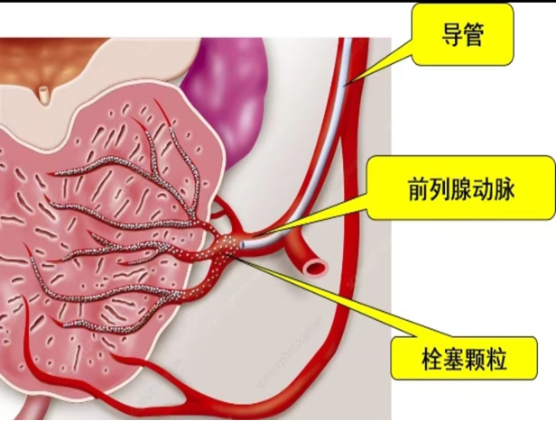 1760514420932590.png 微信图片_2025-10-15_154646_319.png