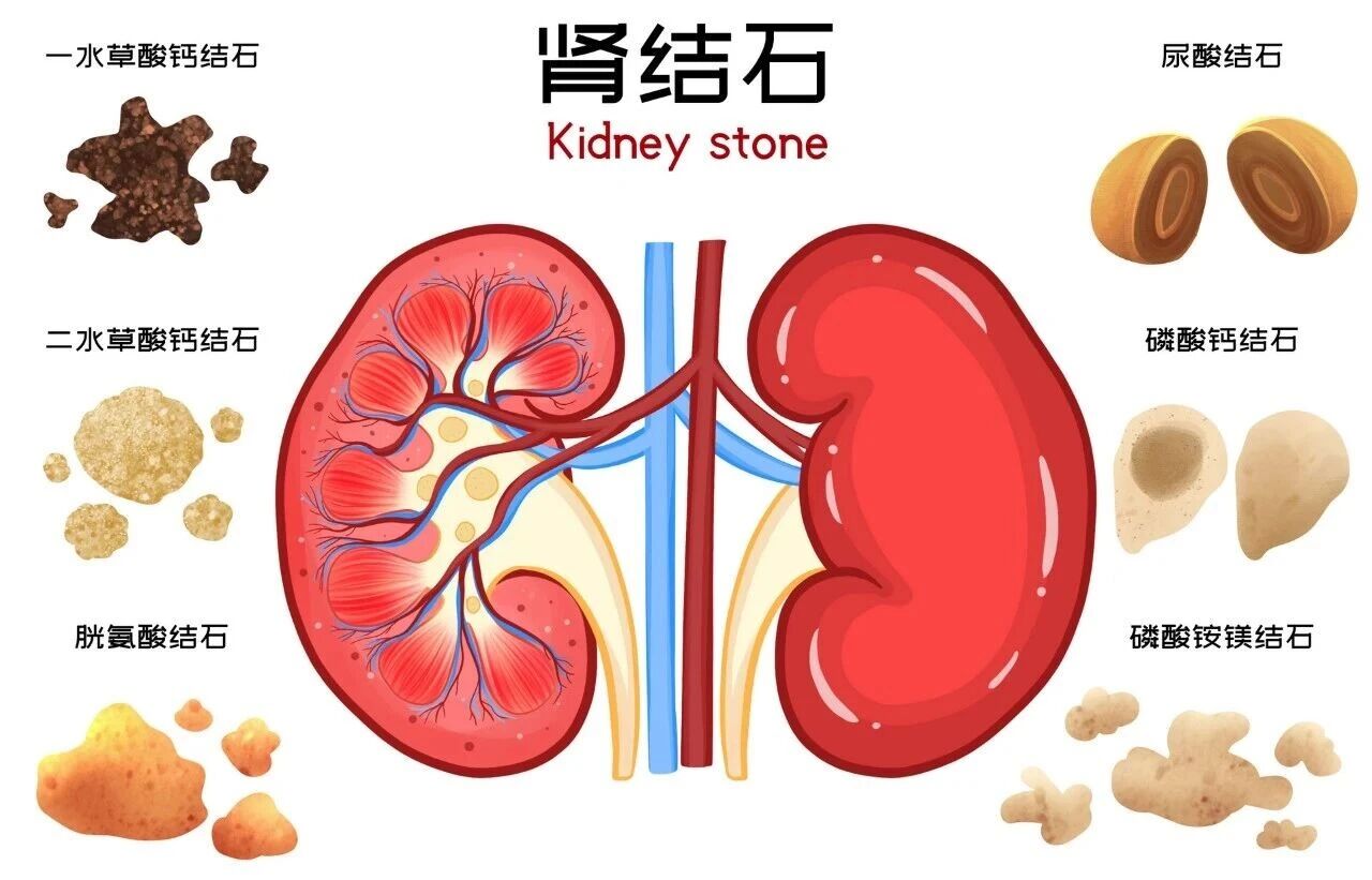 1760516437465860.jpg 微信图片_2025-10-15_162022_833.jpg