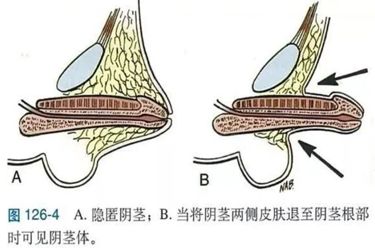 微信图片_2025-10-15_162809_683.png