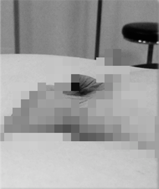 微信图片_2025-10-15_162825_851.png