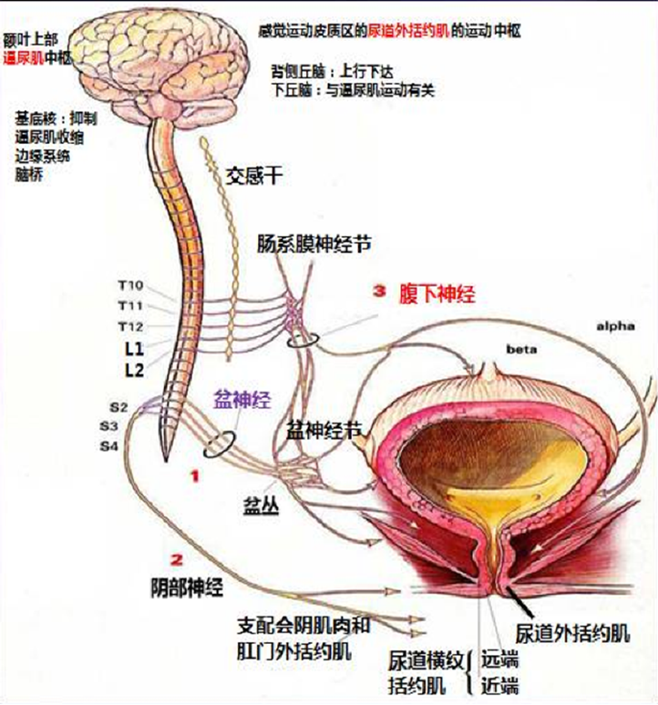 微信图片_2025-10-15_164130_563.png
