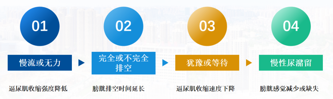 微信图片_2025-10-15_164219_347.png