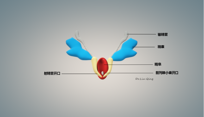 1765436896662468.png 微信图片_2025-12-11_150802_130.png