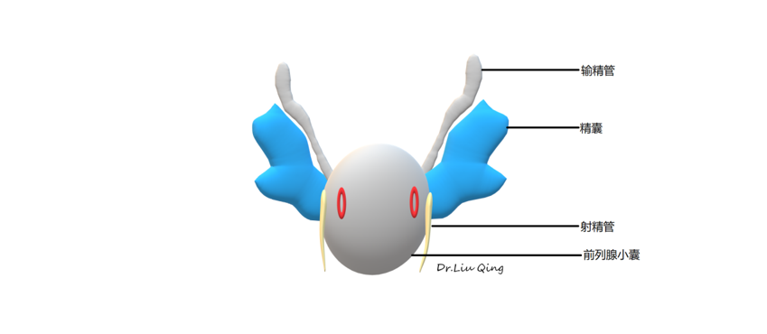 1765436902879330.png 微信图片_2025-12-11_150804_931.png