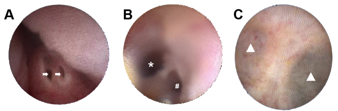 1765436986187264.png 微信图片_2025-12-11_150935_297.png