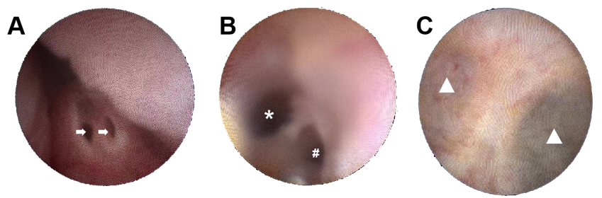 1765437102411129.png 微信图片_2025-12-11_151126_395.png