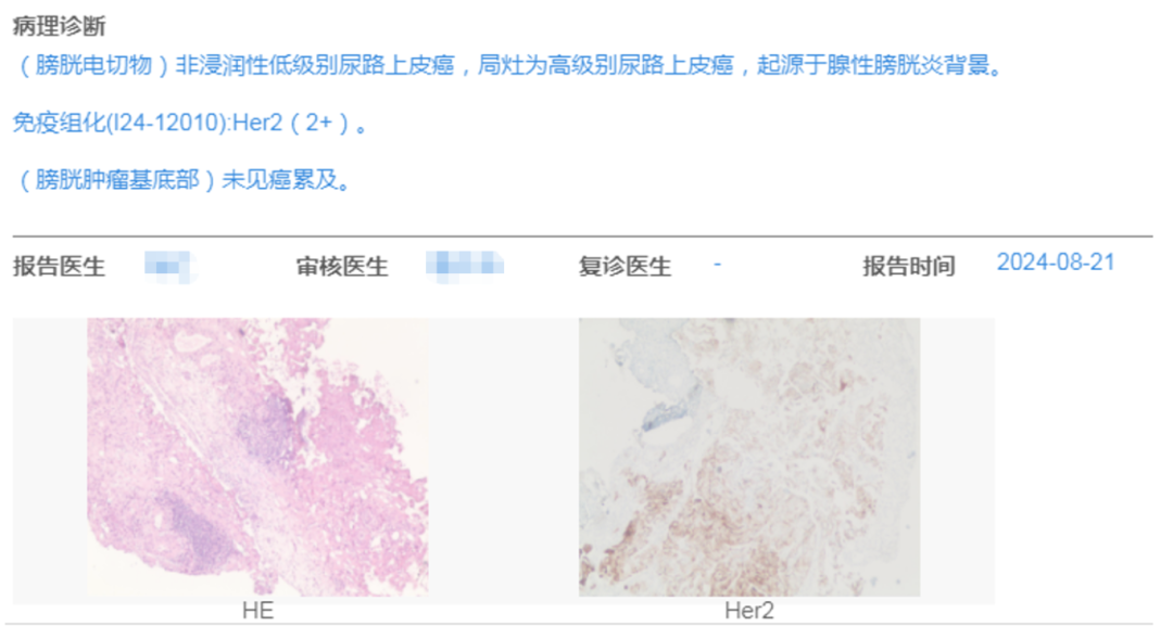 微信图片_2025-12-11_155142_297.png