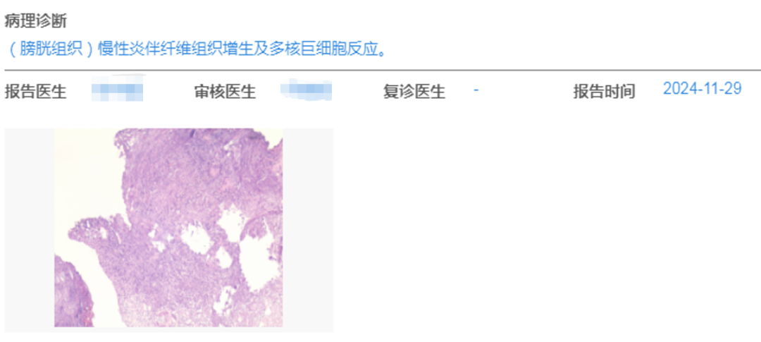 微信图片_2025-12-11_155256_008.png