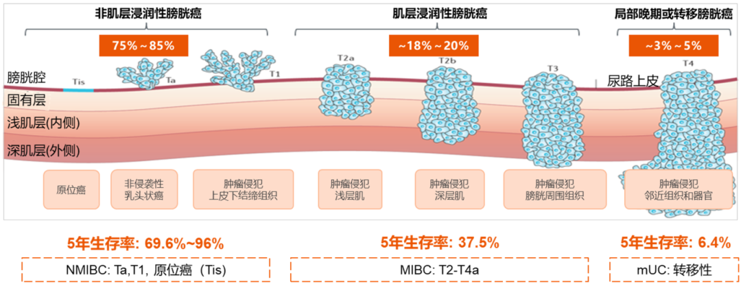 微信图片_2025-12-11_164012_227.png