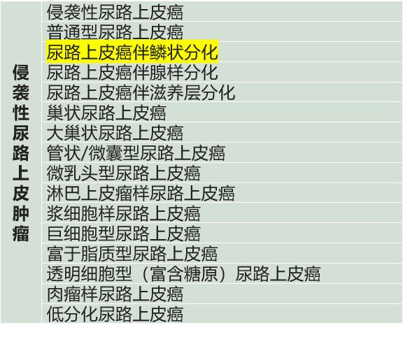微信图片_2025-12-11_164105_674.png