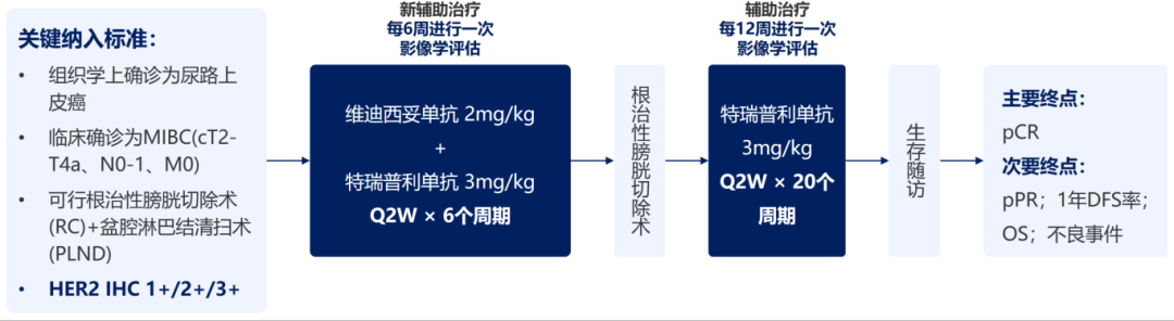 微信图片_2025-12-11_164132_315.png