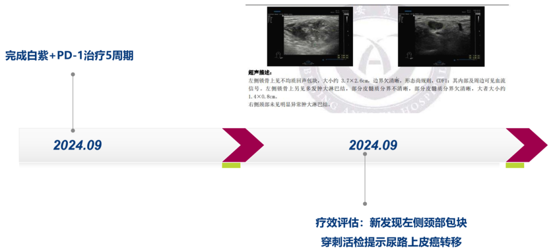 微信图片_2025-12-11_164329_560.png