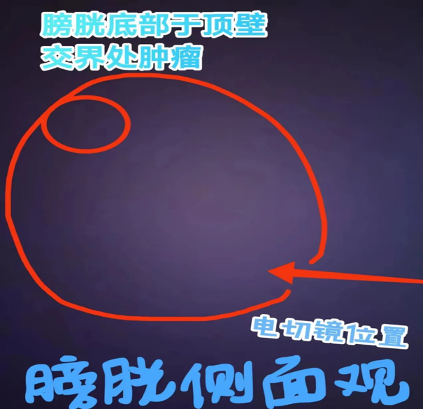 1765443045289610.png 微信图片_2025-12-11_165034_208.png