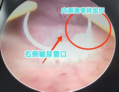 1765443088652963.png 微信图片_2025-12-11_165111_041.png