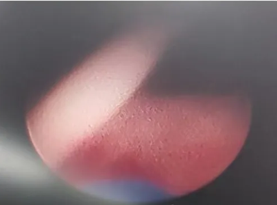 1765443094379564.png 微信图片_2025-12-11_165113_858.png