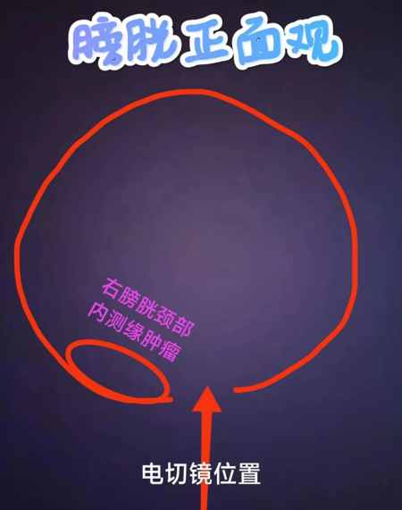 1765443124488349.png 微信图片_2025-12-11_165146_770.png