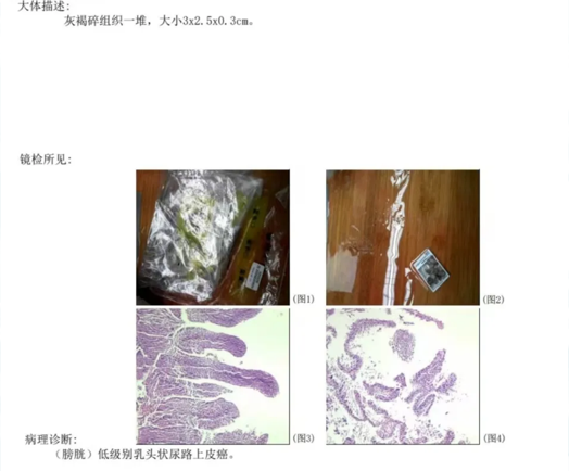 1765443152333802.png 微信图片_2025-12-11_165215_452.png