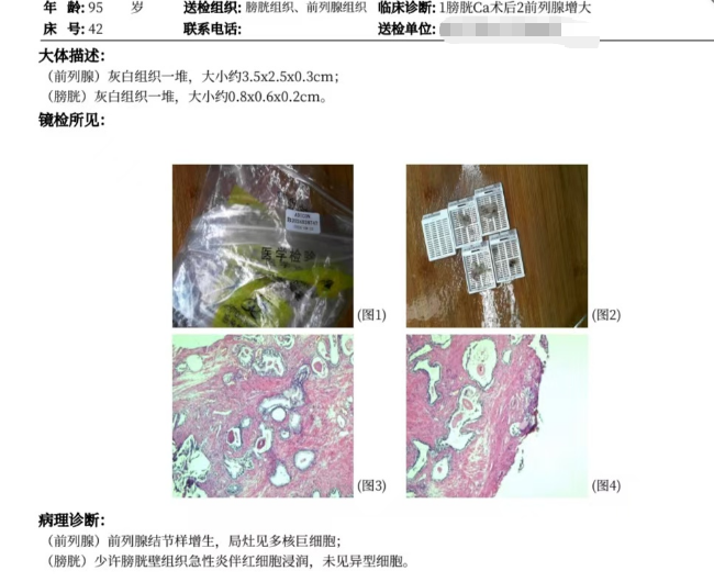 1765443174921659.png 微信图片_2025-12-11_165241_033.png