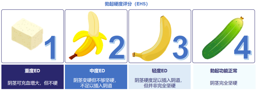 微信图片_2025-12-12_161432_979.png
