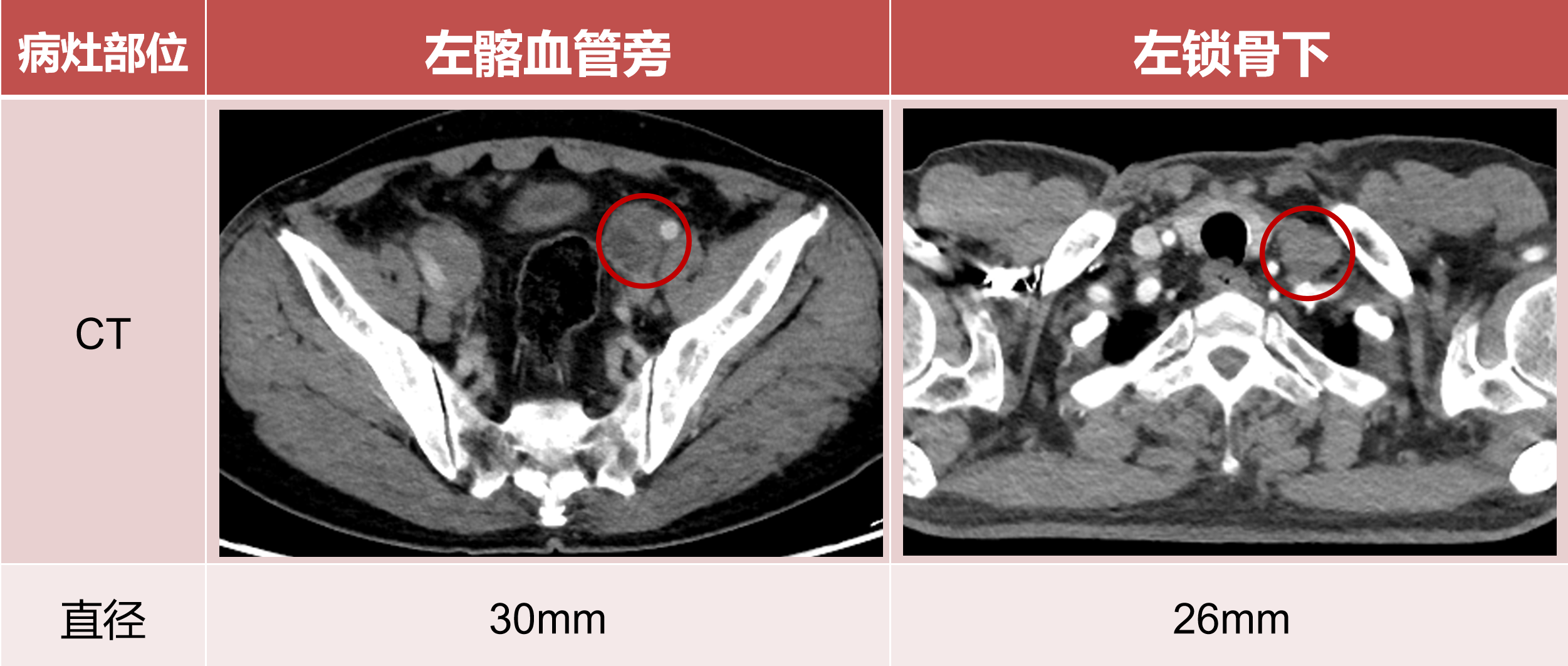 微信图片_2025-12-12_162404_151.png