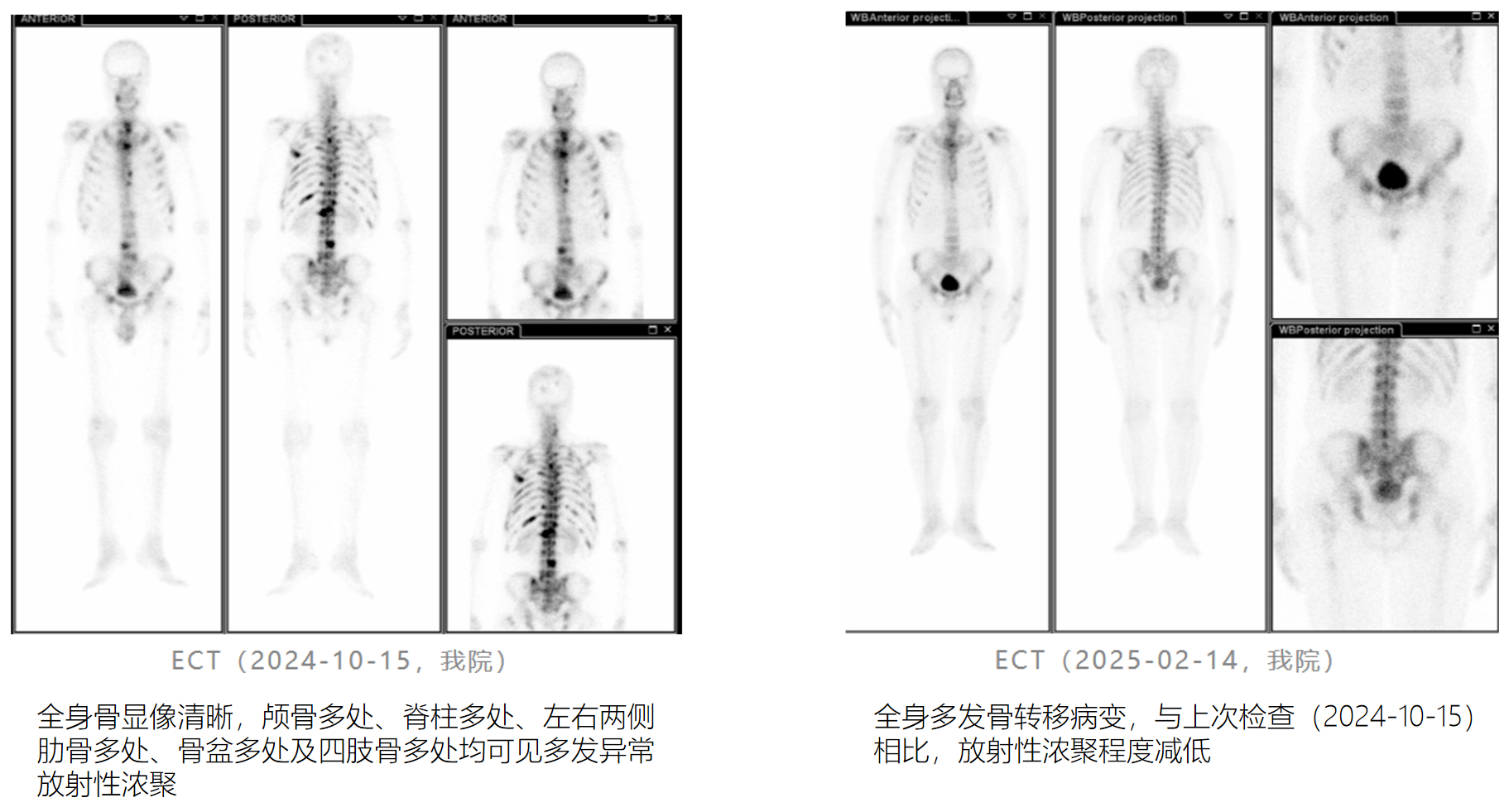 微信图片_2025-12-12_162511_576.png