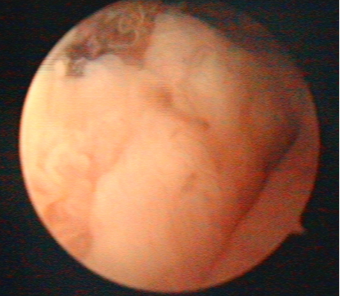 1765528170962881.png 微信图片_2025-12-12_162915_586.png