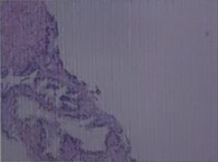 1765781977265181.png 微信图片_2025-12-15_145925_398.png