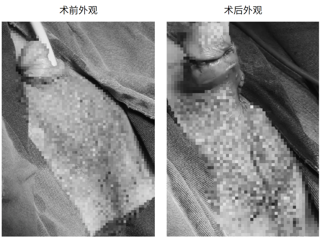1765782398970545.png 微信图片_2025-12-15_150626_663.png