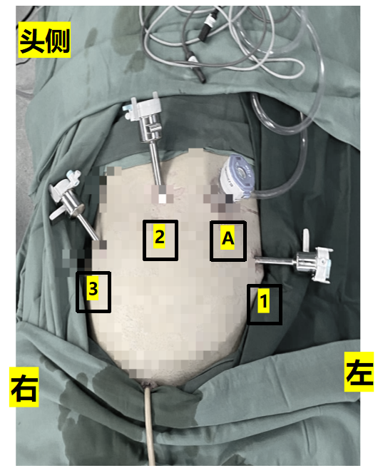 1765869475329402.png 微信图片_2025-12-16_151741_727.png