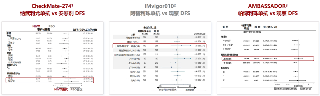 1765870236382652.png 微信图片_2025-12-16_153026_872.png
