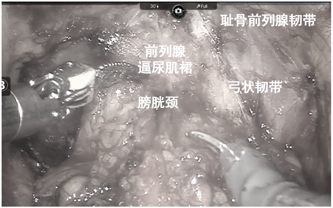 微信图片_2025-12-17_142415_724.png
