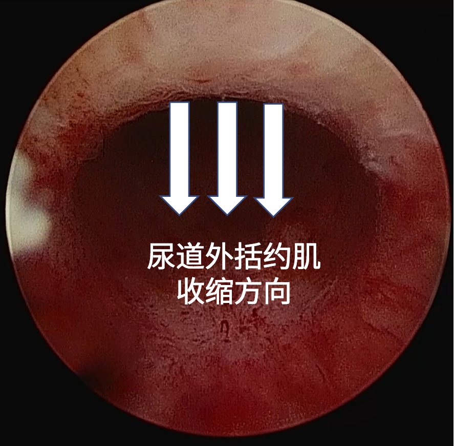微信图片_2025-12-17_142429_837.png