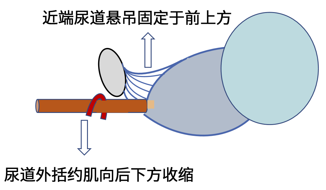微信图片_2025-12-17_142449_822.png