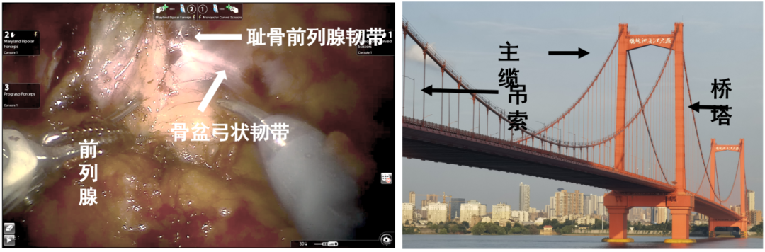 微信图片_2025-12-17_142505_261.png