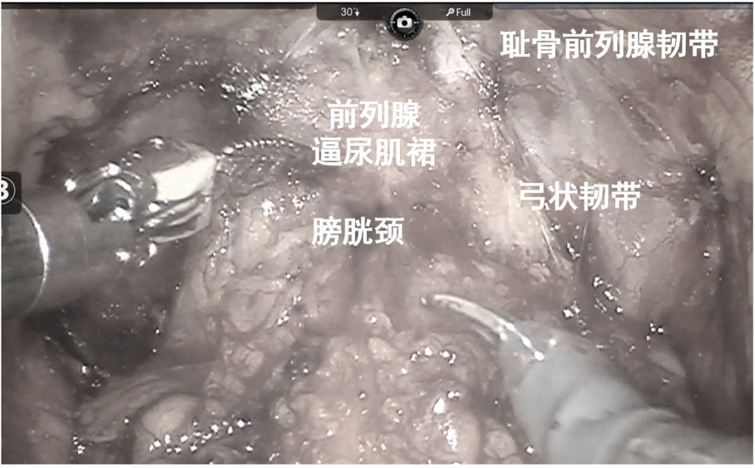 微信图片_2025-12-17_142532_997.png