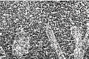 1765953454220417.png 微信图片_2025-12-17_143723_046.png