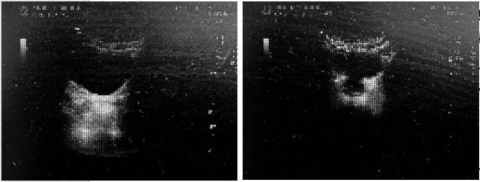 微信图片_2025-12-17_144236_822.png