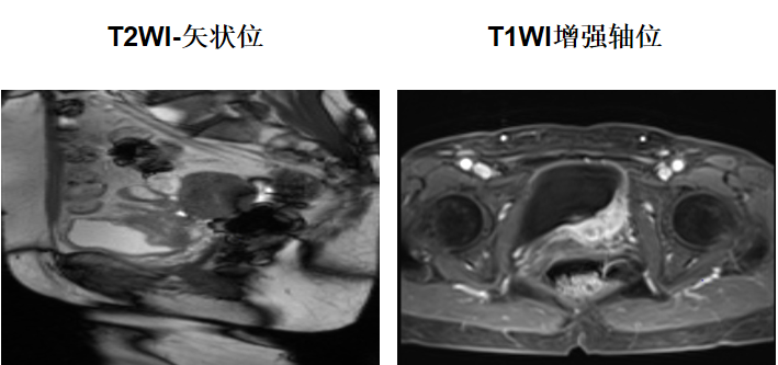 微信图片_2025-12-18_101437_346.png