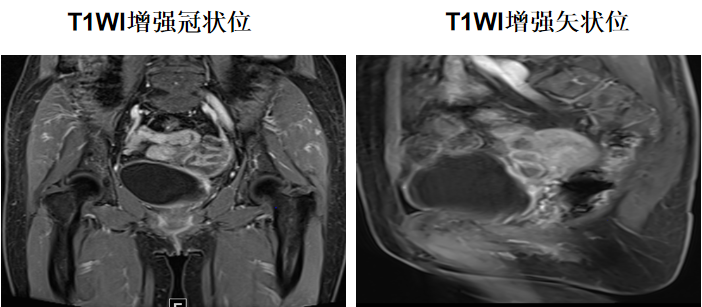 微信图片_2025-12-18_101540_661.png