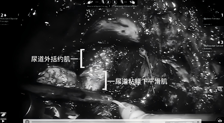 1769586308207466.png 微信图片_2026-01-28_154450_508.png