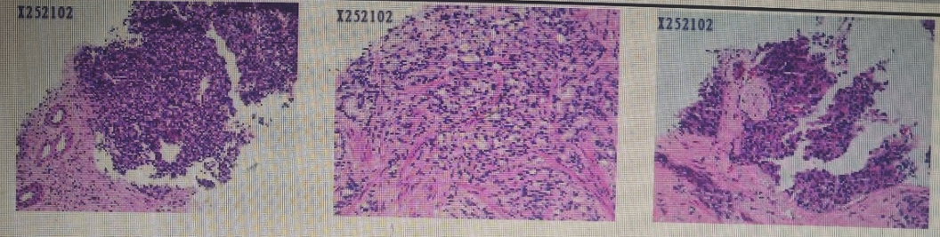 1770003165205965.png 微信图片_2026-02-02_113231_335.png
